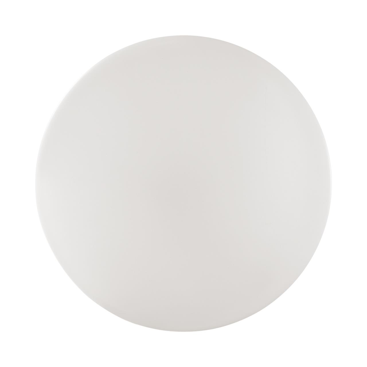 3040/DL PALE SN 000 Светильник пластик/белый/хром LED 48Вт 4000К D400 IP43 VALE — изображение 2