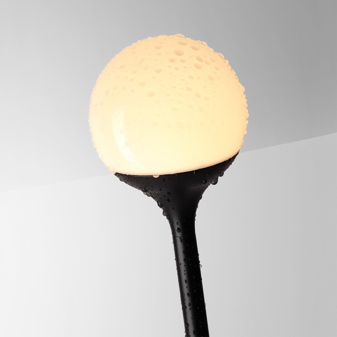 7120/3GLB NATURE ODL25 655 Ландшафтный светильник черный/металл IP65 LED 3W 195Лм 3000K 200° 12-24V DEW (нужен драйвер 357781/357782) — изображение 4