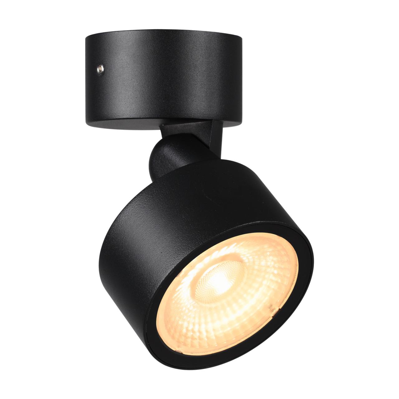 359588 STREET NT25 694 черный Светильник ландшафтный светодиодный IP65 LED 12W 3000К 100-240V FOCUS — изображение 3