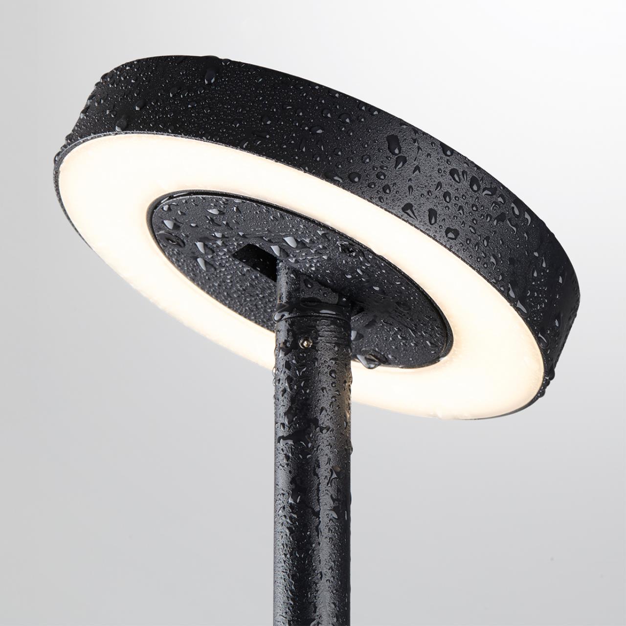7189/6GL NATURE ODL26 Ландшафтный светильник поворотн. черный/металл IP65 LED 6W 3000K 110° 220V-240V DISC — изображение 4