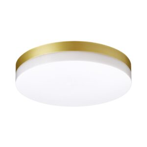 358888 STREET NT22 782 золото Светильник ландшафтный светодиодный IP54 LED 4000К 30W 220V OPAL