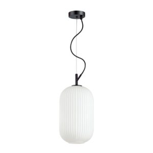 4751/1 PENDANT ODL21 411 белый/черный Подвес E27 60W ROOFI