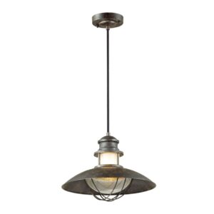 4164/1 NATURE ODL19 705 коричневый/прозрачный Подвес IP23 E27 1*60W DANTE