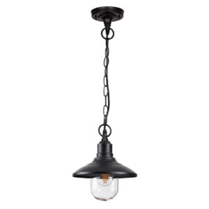 4965/1 NATURE ODL22 713 черный/стекло Ландшафтный подвес E27 1*60W IP44 CAMPA