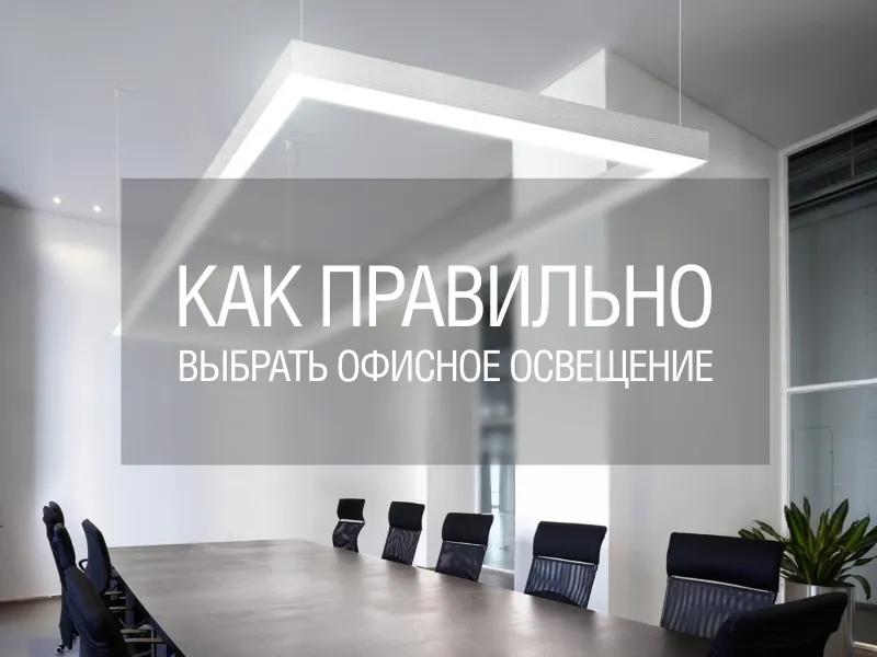 ofis-800x600[1]